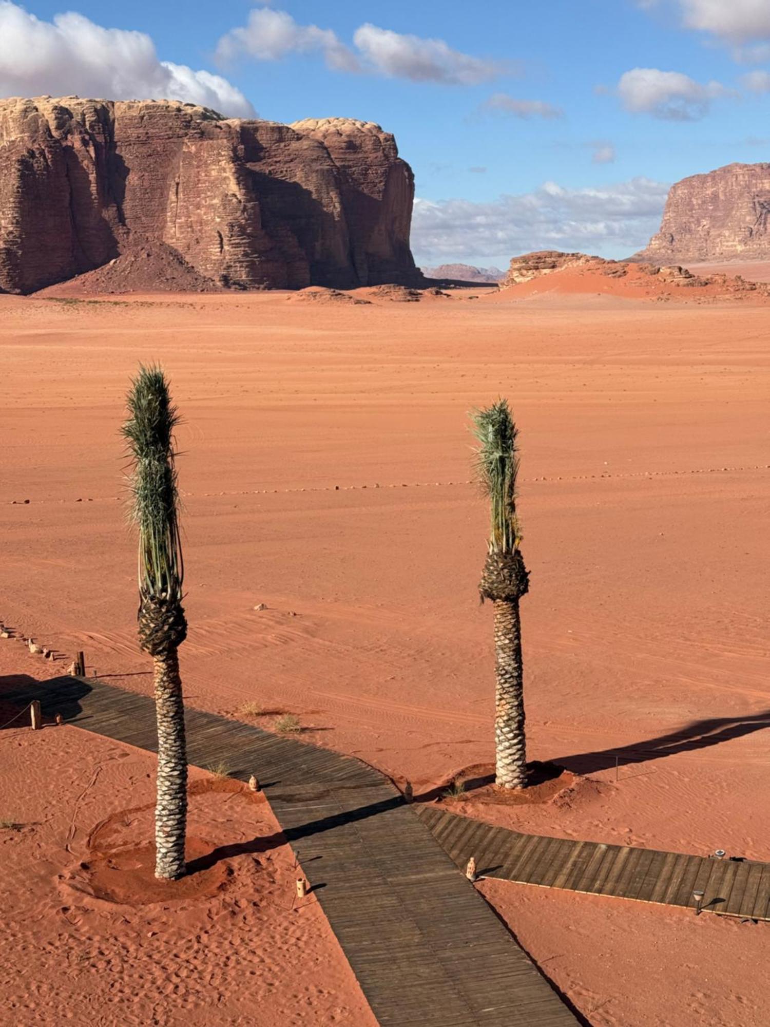 Wadi Rum Bedouin Camp ภายนอก รูปภาพ